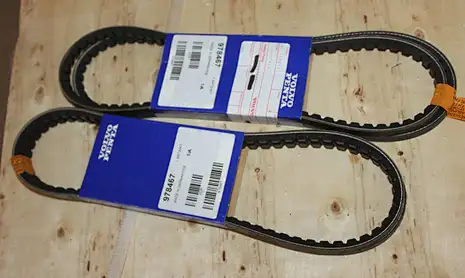 belt